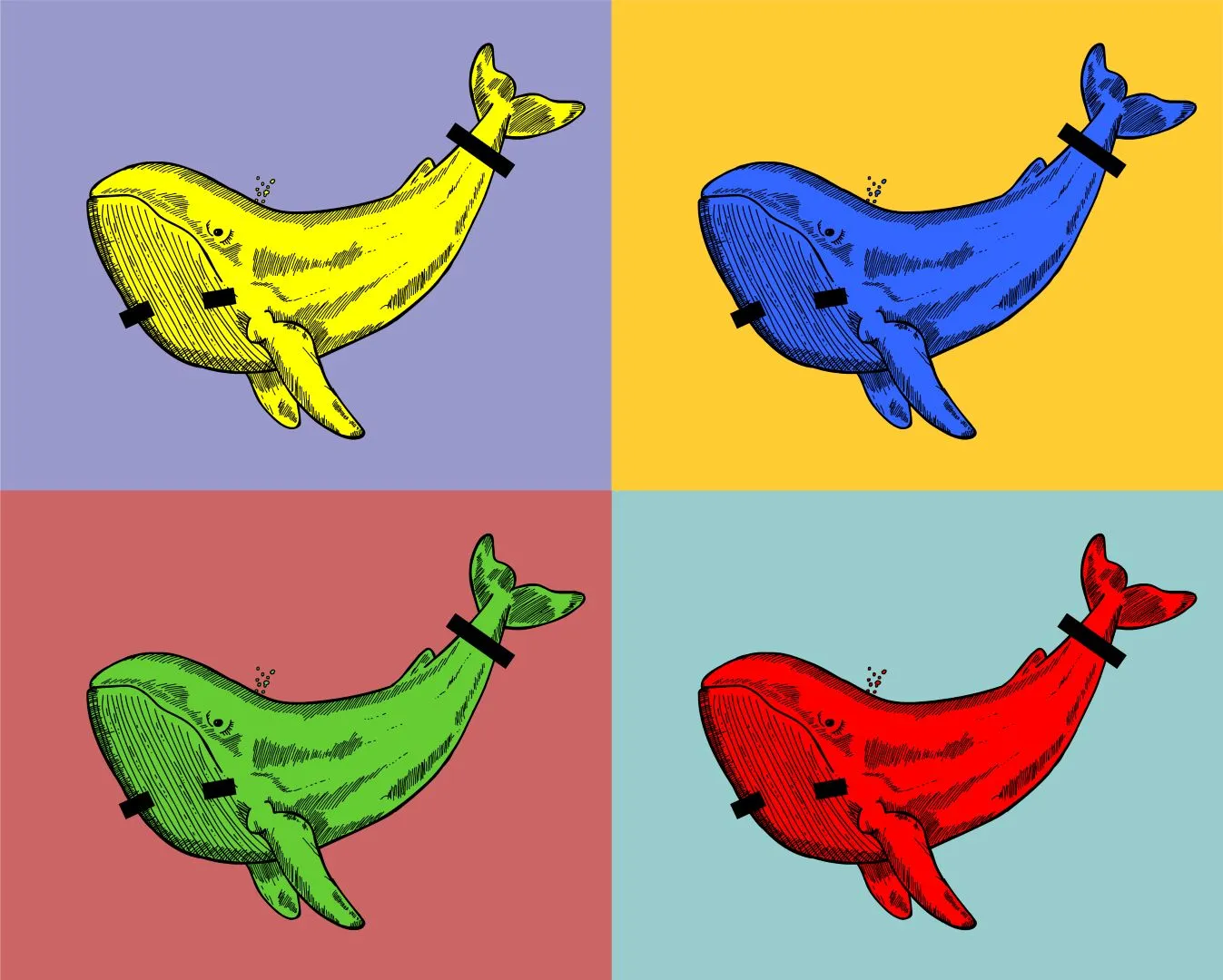 Censored whale